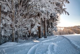 Phoca Thumb M Winterwanderweg Waldau 2079 2015